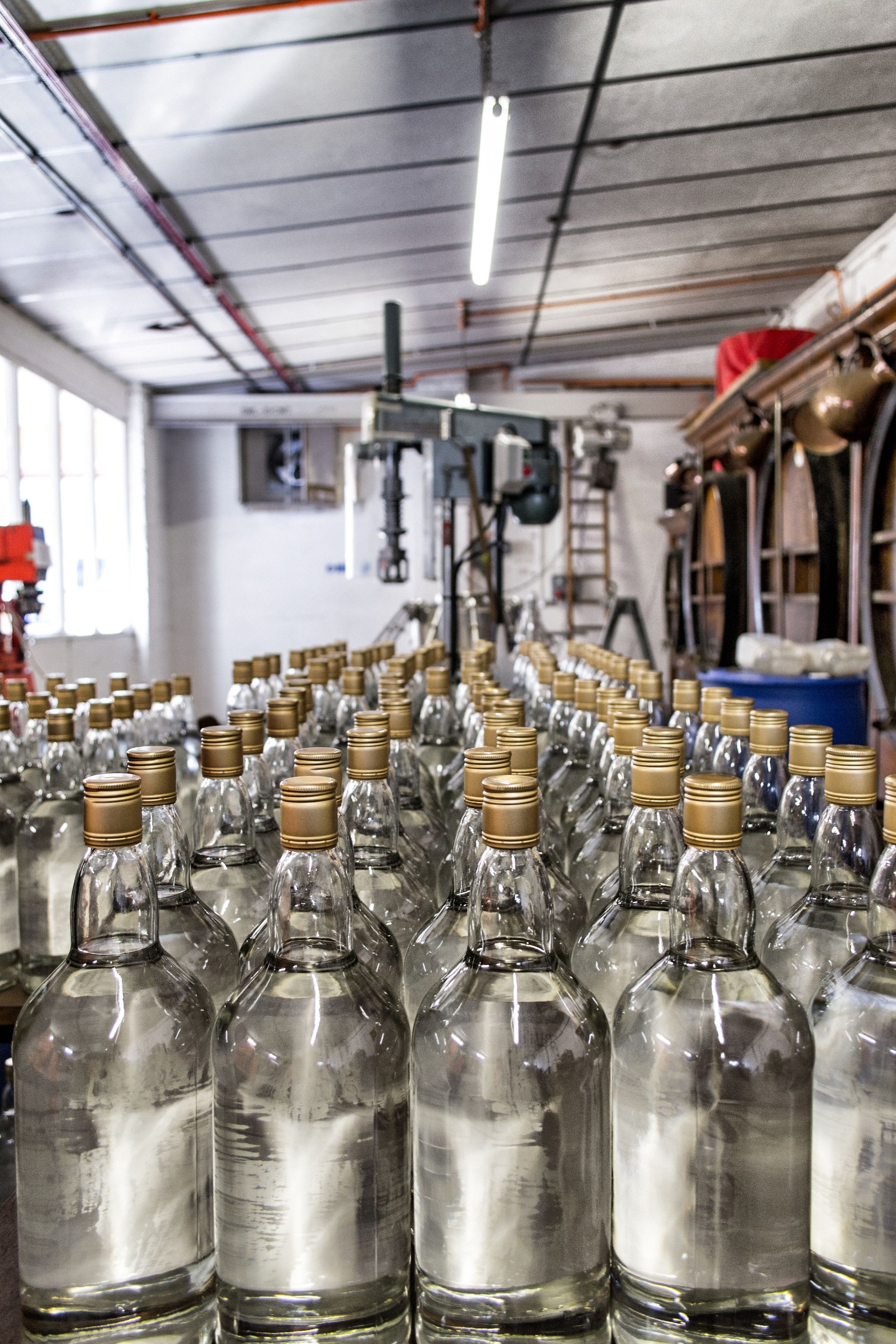 Gin bottles at a distillery